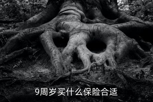 9周歲買什么保險合適