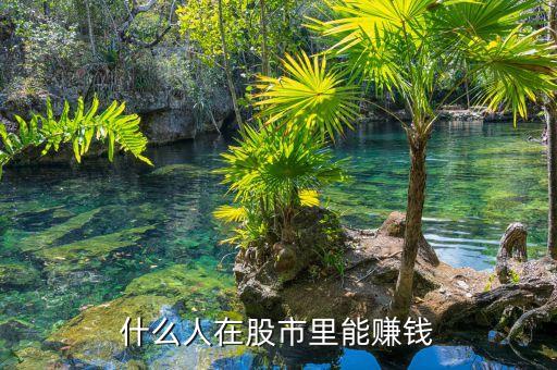 股市中什么人能賺到錢，目前在股市上賺錢的是些什么人