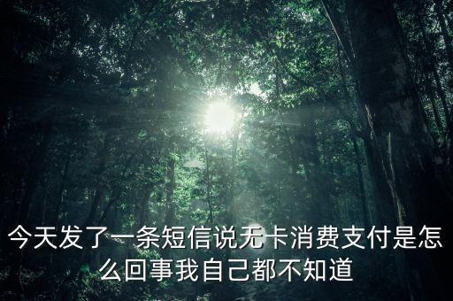 無卡消費(fèi)是什么意思，無卡支付小手刷卡頭支付和大POS機(jī)支付的區(qū)別