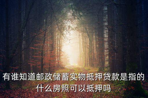 有誰知道郵政儲蓄實物抵押貸款是指的什么房照可以抵押嗎