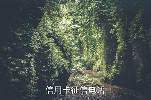 申請信用卡征信會用什么電話打，辦信用卡征信上是一年前的手機號 銀行會打征信上的手機號碼嗎