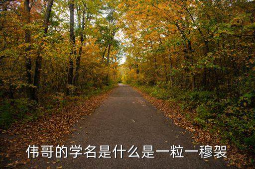 偉哥的學名是什么是一粒一穆袈