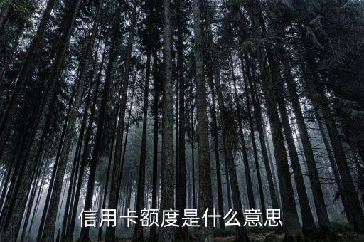 信用卡額度是什么，信用卡的參考額度是什么意思