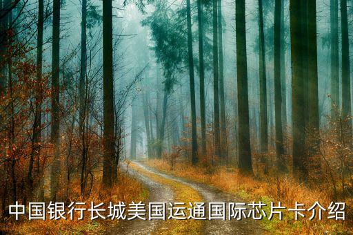 中國銀行美運卡是什么，中國銀行美運卡有什么功能