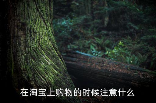 淘寶買家購物注意什么，在淘寶買東西要注意些什么