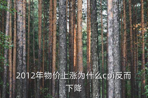 2012年什么原因導致CPI下降，描述繪制2012年19月我國CPI走勢并解析波動的原因