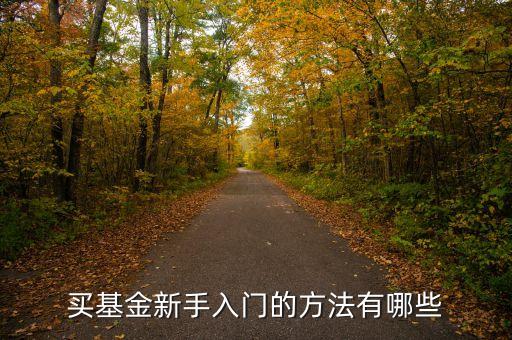買基金有什么技巧，新手買基金有哪些技巧