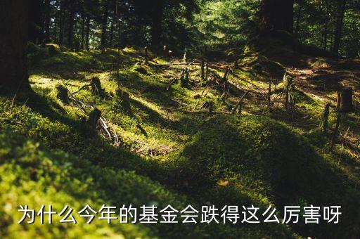 南嶺民爆為什么這么跌，我139進(jìn)的南嶺民爆現(xiàn)在22塊多了還能繼續(xù)拿著么