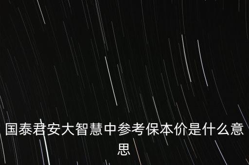 國(guó)泰君安大智慧中參考保本價(jià)是什么意思