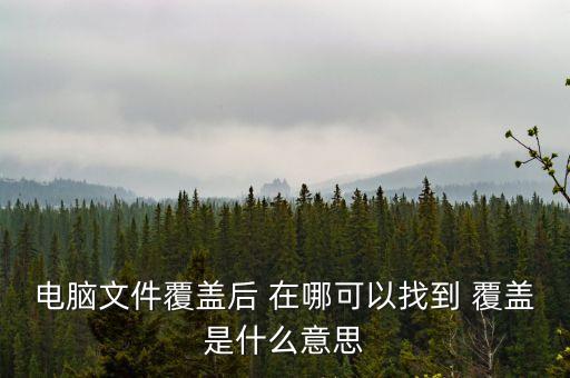 首次覆蓋是什么意思，首次覆蓋給予買入評級 什么意思