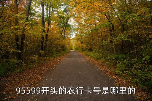 農(nóng)業(yè)銀行95599開(kāi)頭的是什么卡，95599開(kāi)頭是什么銀行的卡