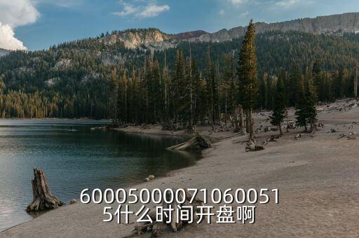 600050000710600515什么時(shí)間開(kāi)盤啊