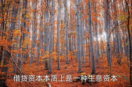 借貸資本本質(zhì)上是一種生息資本