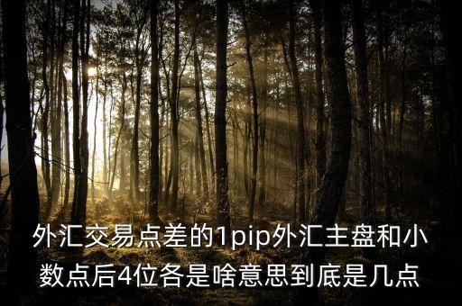 金融pip是什么意思，獲利點(diǎn)數(shù)pip在外匯市場(chǎng)是指什么意思是百分之多少嗎謝謝
