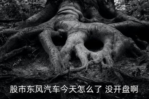股市東風汽車今天怎么了 沒開盤啊