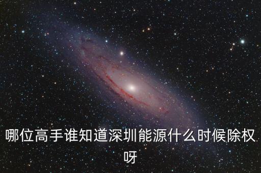 哪位高手誰知道深圳能源什么時候除權呀