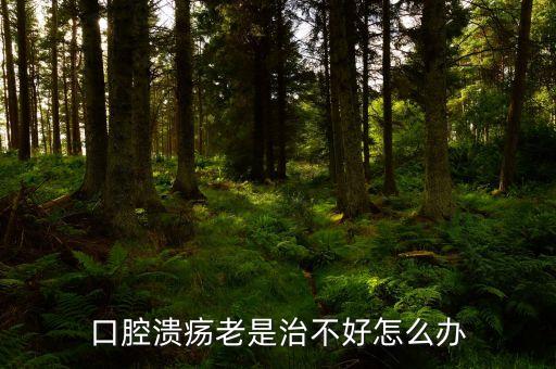 云南咖啡豆在什么時候采摘，云南小粒咖啡怎么吃要煮嗎