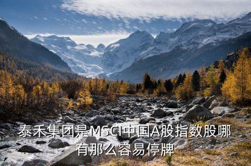 泰禾集團(tuán)是MSCI中國A股指數(shù)股哪有那么容易停牌
