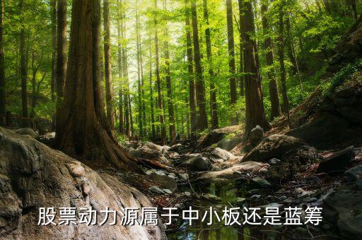 動(dòng)力源是什么股票，動(dòng)力源這支股票怎么樣