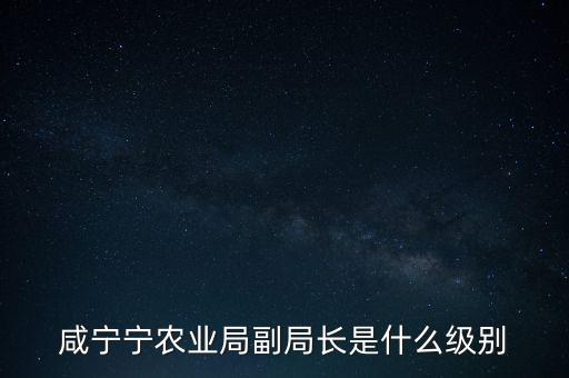 趙建澤是什么級別，中石化等大型國企老總是什么級別