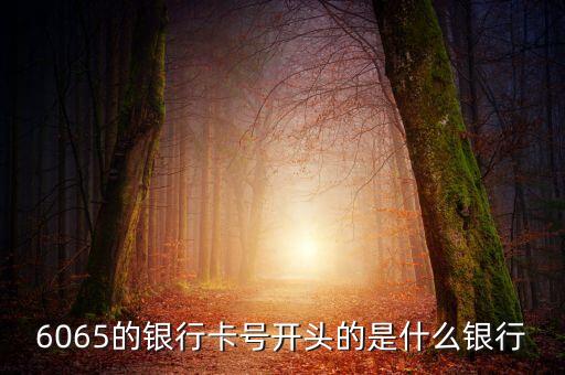 6055開頭是什么銀行，6055開頭是什么銀行的 急求