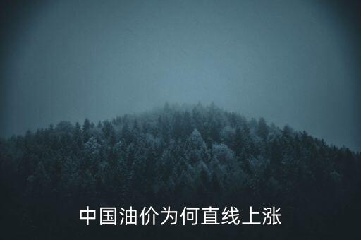 為什么油價(jià)，為什么油價(jià)會(huì)不斷的上升