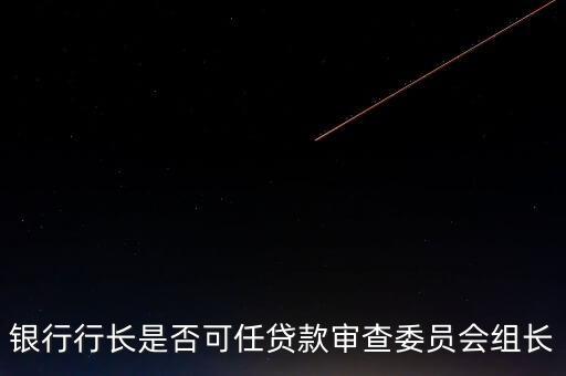 銀行行長是否可任貸款審查委員會組長