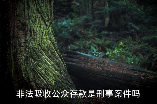 理財(cái)公司吸儲(chǔ)屬于什么案件，我朋友在一家理財(cái)公司做業(yè)務(wù)員去年公司被定為非法吸存朋友直