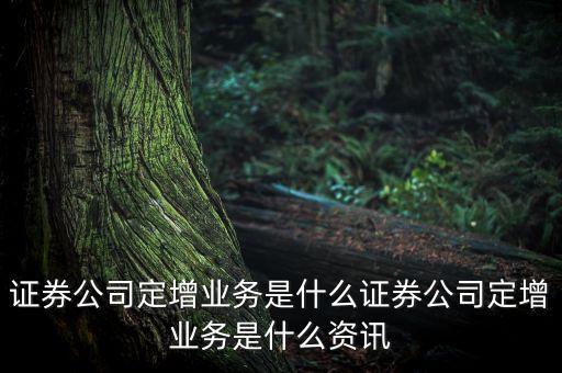 證券公司定增業(yè)務(wù)是什么證券公司定增業(yè)務(wù)是什么資訊