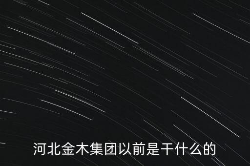 河北金木集團(tuán)以前是干什么的