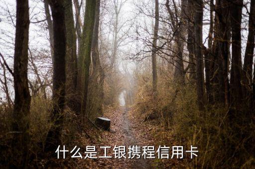 工行攜程卡有什么用，什么是工銀攜程信用卡