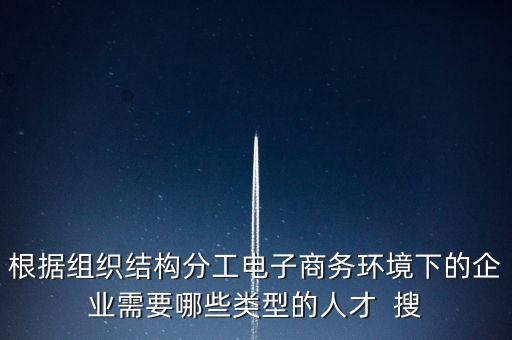 根據(jù)組織結構分工電子商務環(huán)境下的企業(yè)需要哪些類型的人才  搜