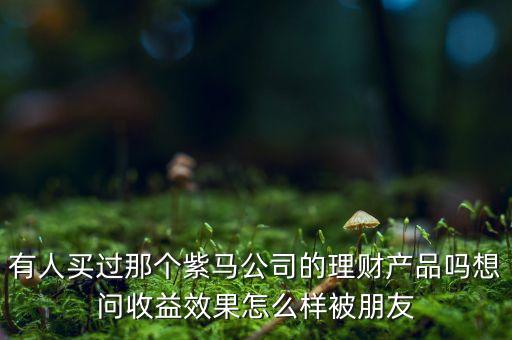 紫馬財(cái)富什么時(shí)間，有人買過(guò)那個(gè)紫馬公司的理財(cái)產(chǎn)品嗎想問(wèn)收益效果怎么樣被朋友