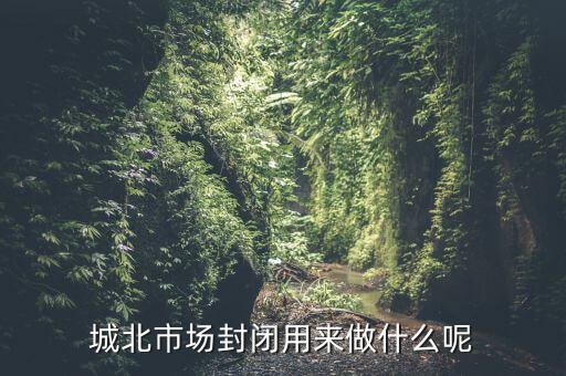 封閉市場可以干什么，城北市場封閉用來做什么呢