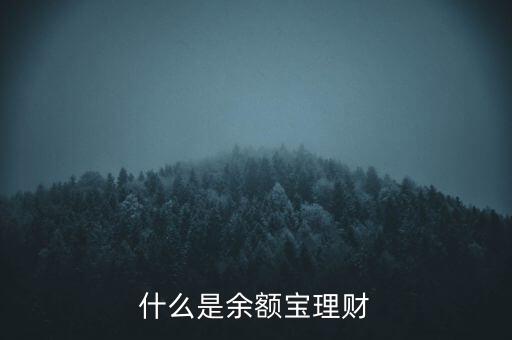 余額寶理財(cái)資金是什么，什么是余額寶理財(cái)