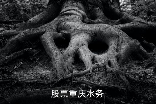 重慶水務(wù)是什么股票，朋友們請(qǐng)問重慶水務(wù)和國(guó)中水務(wù)這兩只股票那只基本面更好一點(diǎn)  搜