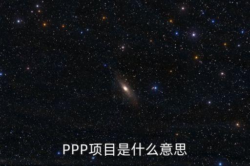 PPP項目是什么意思