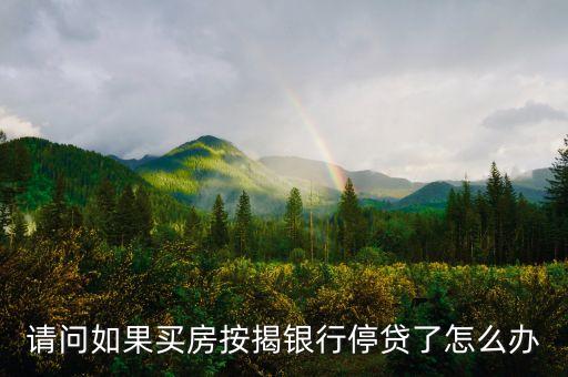 銀行停貸有什么辦法，請問如果買房按揭銀行停貸了怎么辦