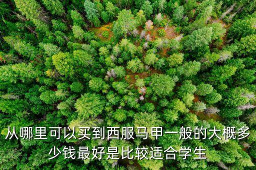 什么牌子賣西裝馬甲，什么牌子的西裝馬甲好