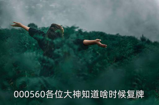 精功科技什么時(shí)候復(fù)牌，000560各位大神知道啥時(shí)候復(fù)牌