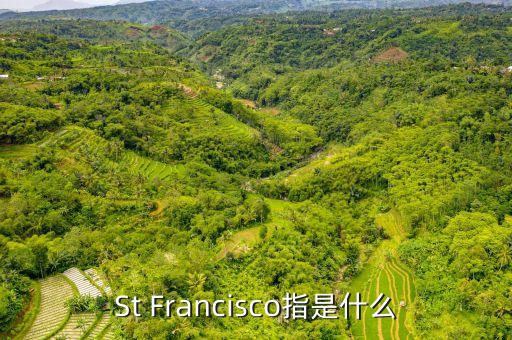 st戰(zhàn)略是什么，ST戰(zhàn)略是什么意思