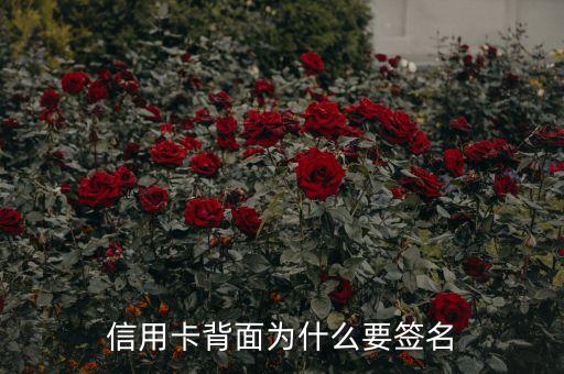 信用卡背面為什么要簽名，信用卡背后為什么要簽字