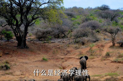 什么是市場理性，市場回歸理性是什么意思