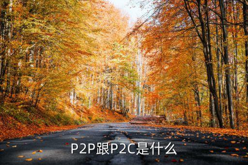 p2c平臺是什么，什么是P2P什么是P2C