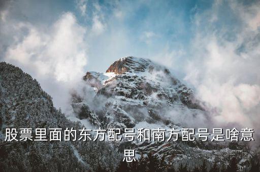 股票里面的東方配號(hào)和南方配號(hào)是啥意思