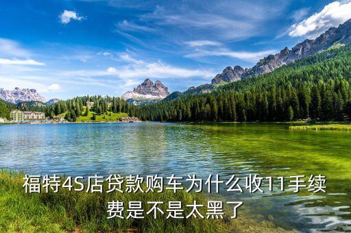 福特4S店貸款購車為什么收11手續(xù)費是不是太黑了