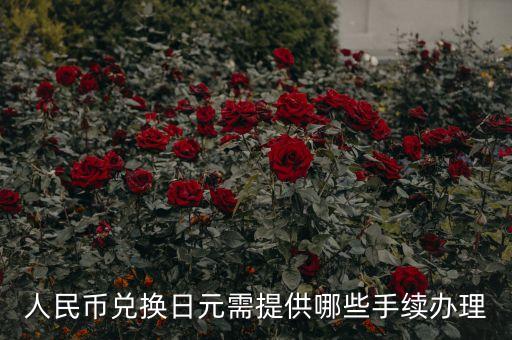 人民幣換日元用需要什么手續(xù)，人民幣換日元需要什么手續(xù)