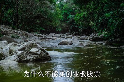 創(chuàng)業(yè)板股票為什么不能買，為什么不能買創(chuàng)業(yè)板股票