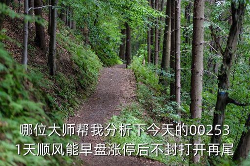 哪位大師幫我分析下今天的002531天順風(fēng)能早盤漲停后不封打開(kāi)再尾