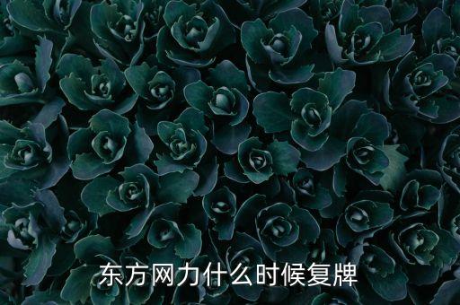東方網(wǎng)力什么時候復牌，000511最新消息什么時間復牌